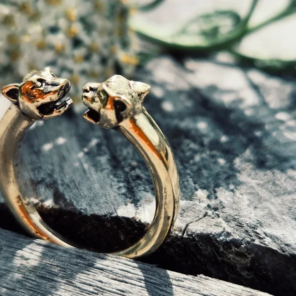 bisjoux snake ring on wood 39f7c789b69f577bb81d52ac4928275b22fcc2f957632e174da084eac36627fe.webp