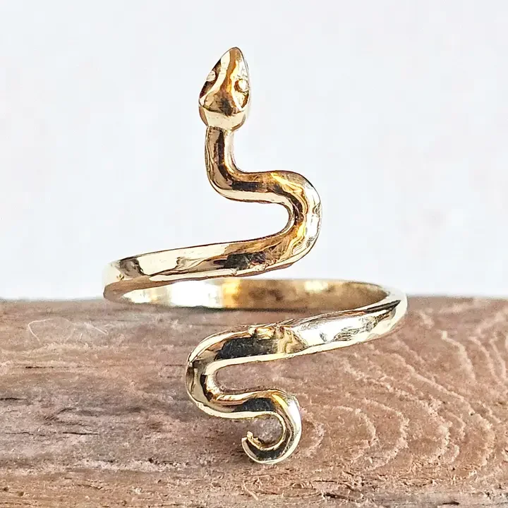 bisjoux snake close 2cca47f5342eb9a30527b069bb8a4d44ac33c2e37bd7084091f59fb44a95cb41.webp
