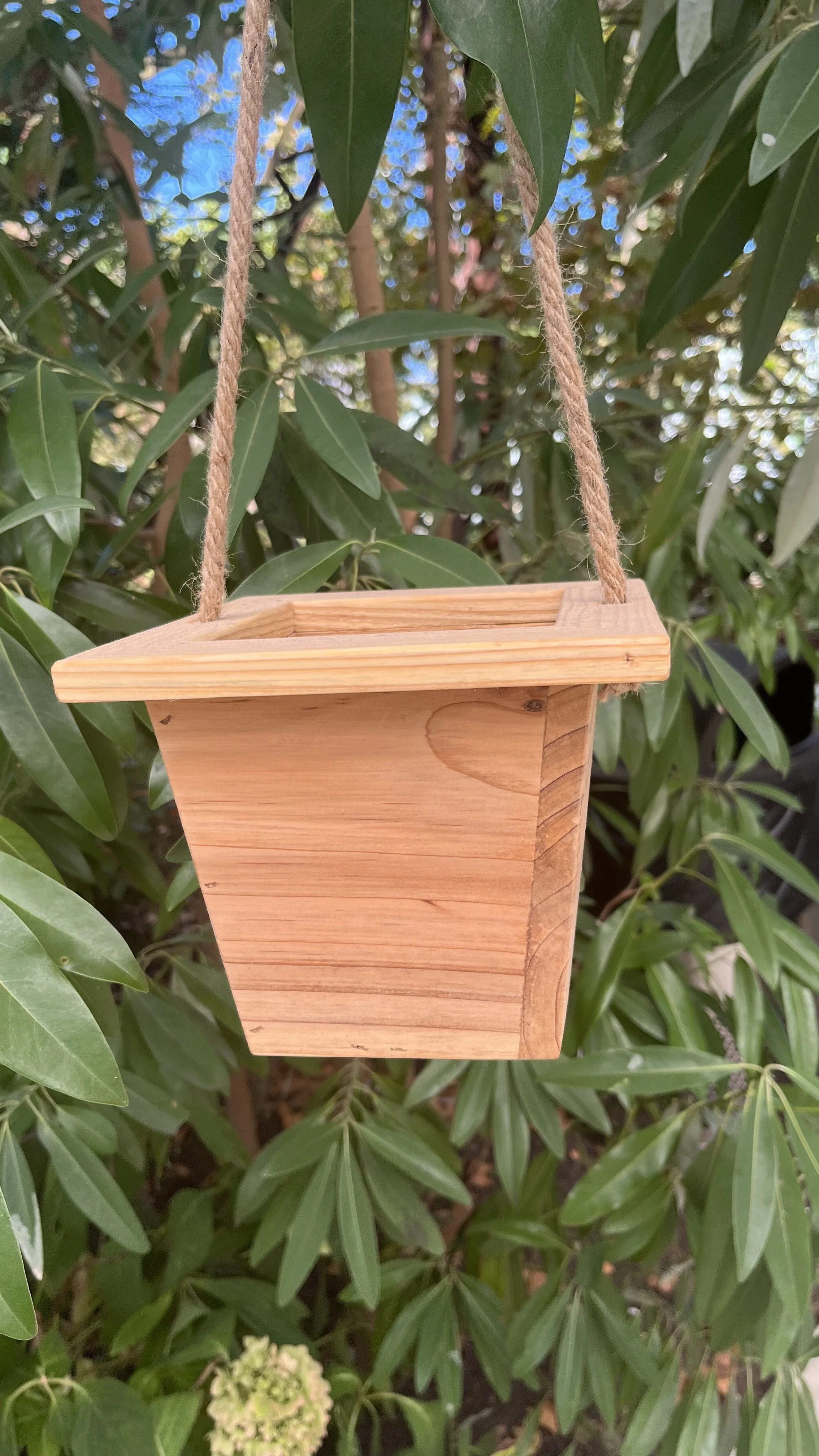 Dashawn hanging planter IMG_2958.jpeg