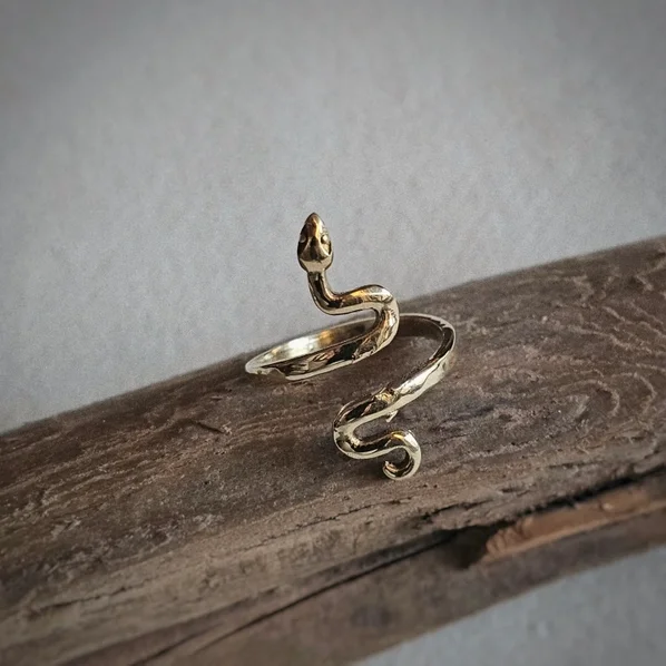 bisjoux snake on wood 403b6af89fa09e29ce84e7259dd89b4d03978485e4676af03c1df11324fb69b6.webp