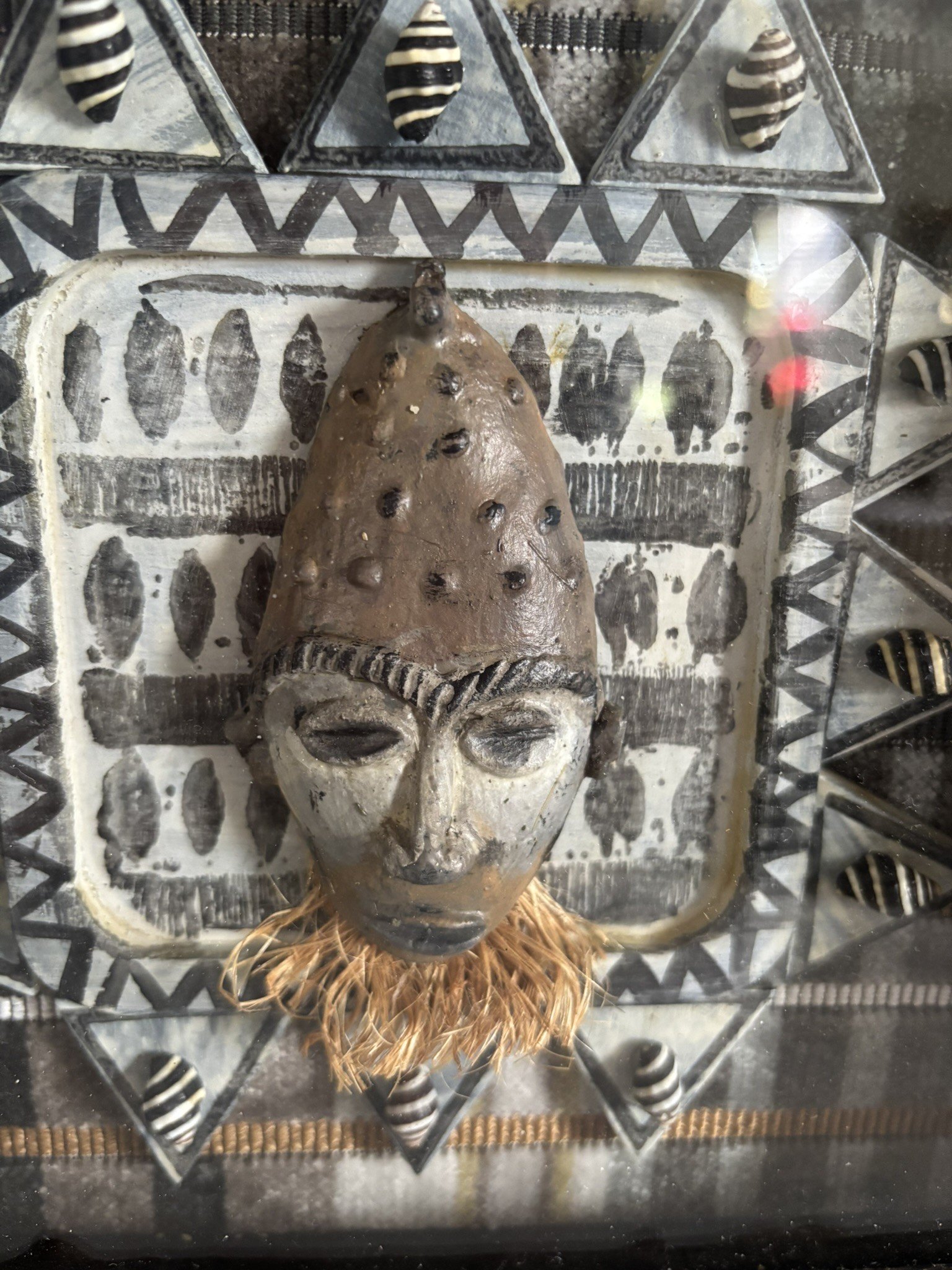 kitty goli close IMG_9319.JPEG