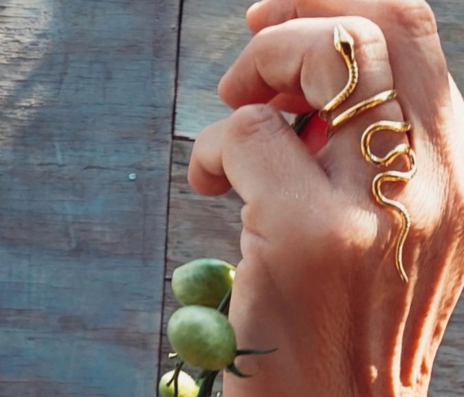 bixjoux long snake on.png
