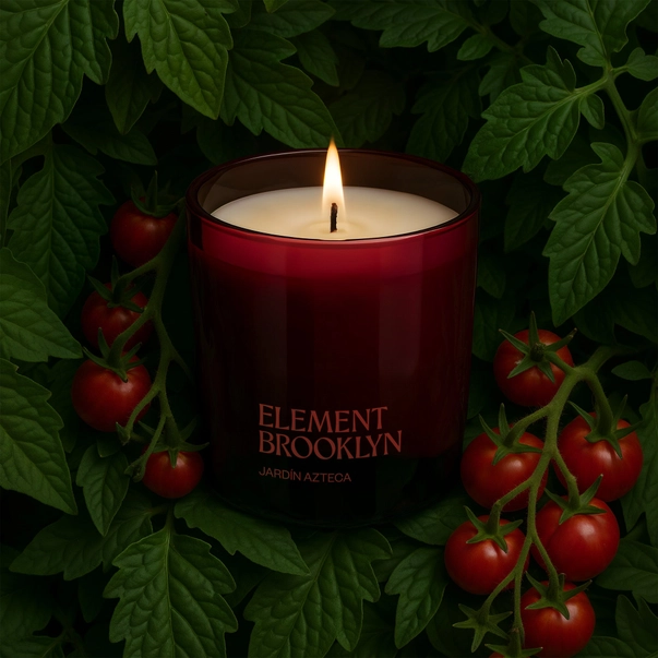 elements Jardin with tomatos.png