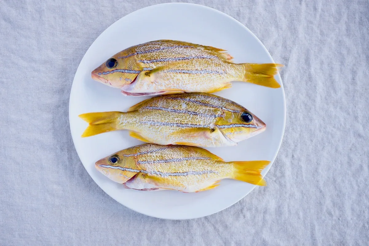 Taʻape Aji Amarillo Ceviche