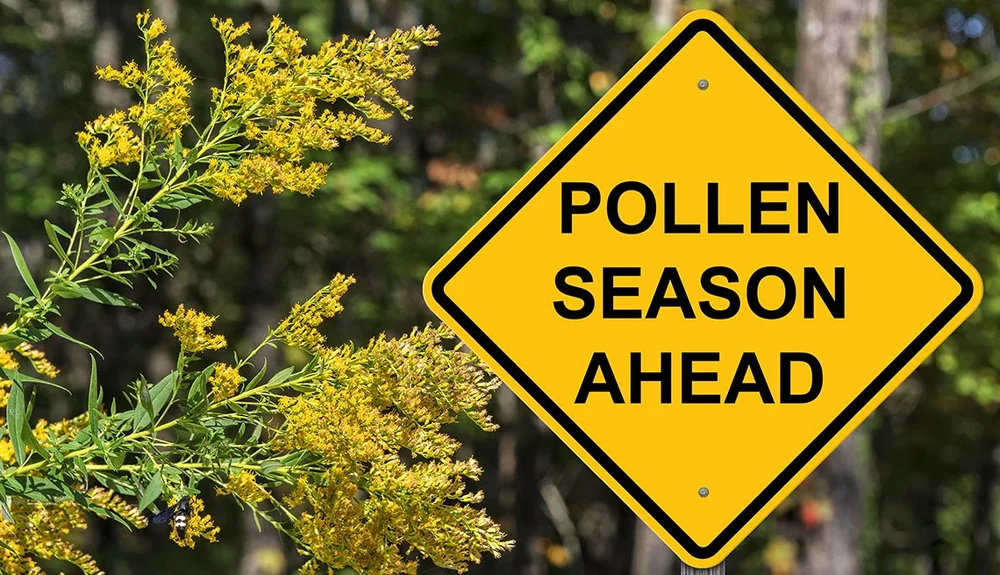 Seasonal allergy relief with acupuncture and Chinese medicine