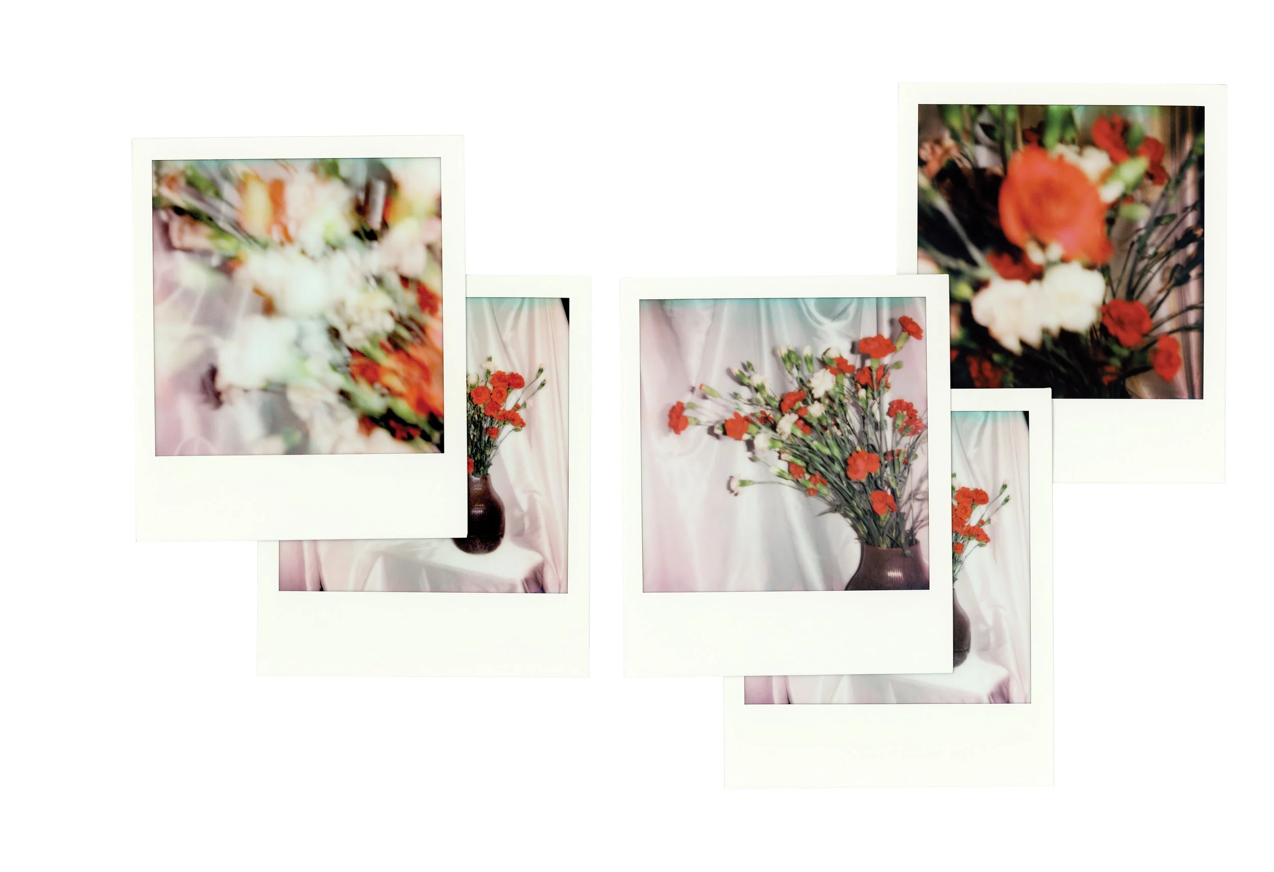 JPG_PETALS_OF_PROMISE.jpg
