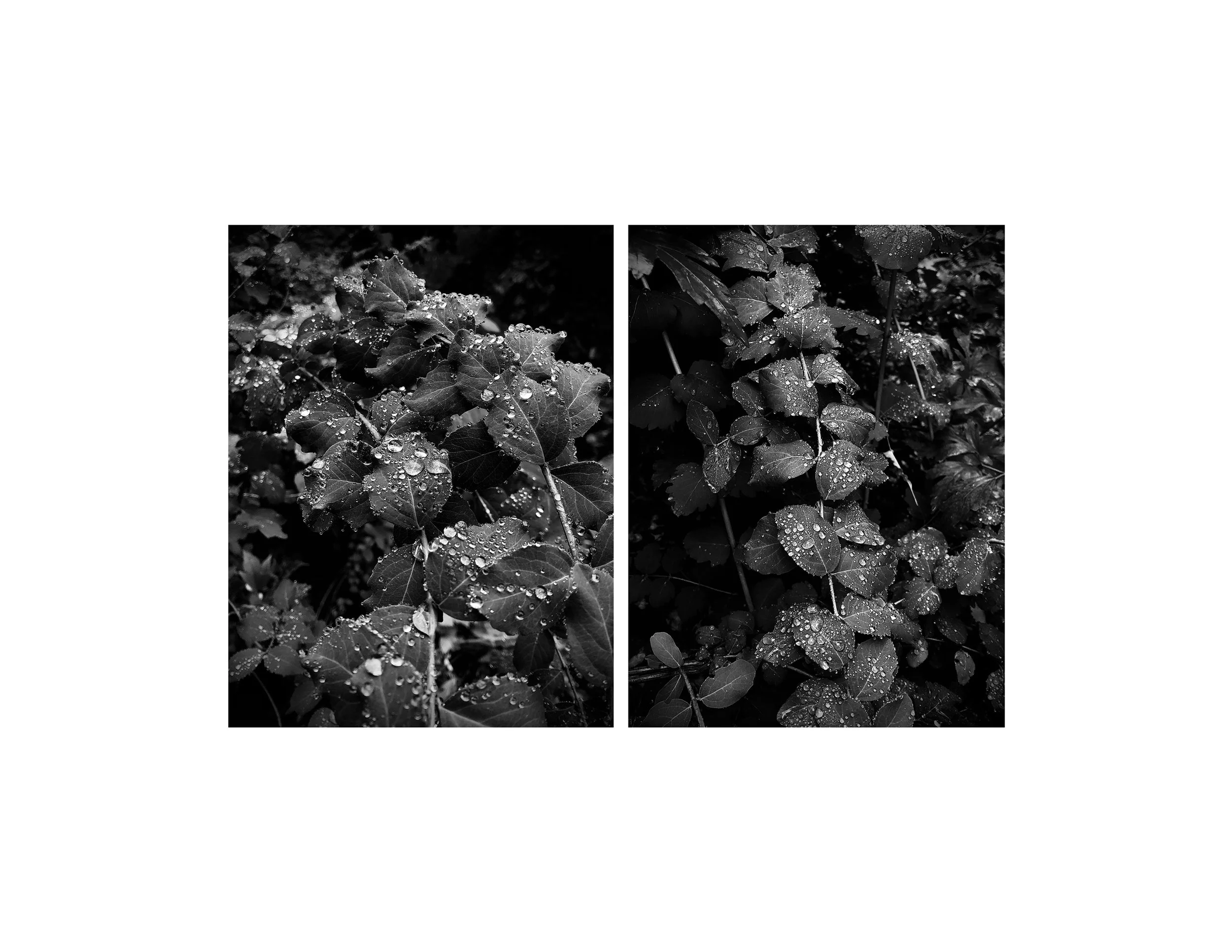 Untitled-1.jpg