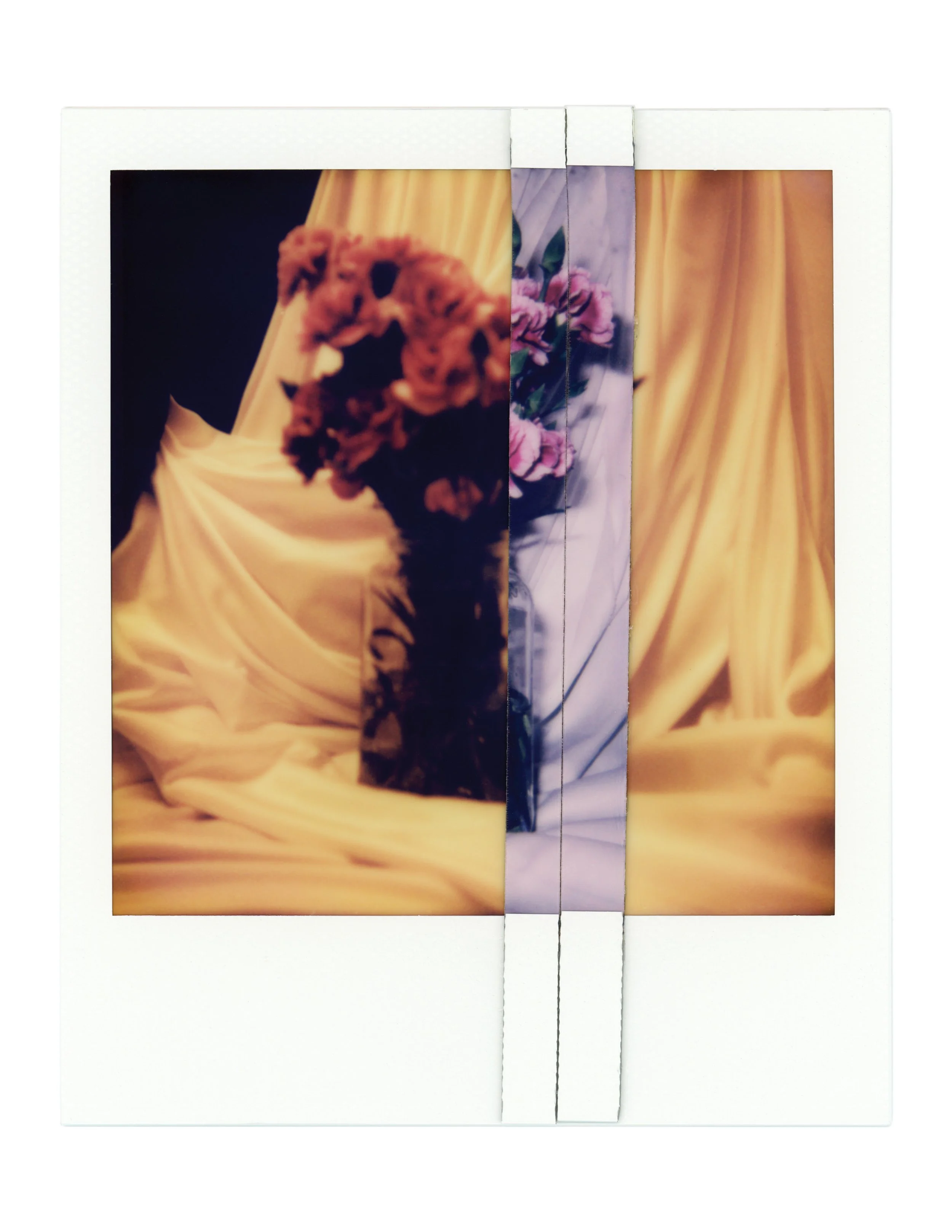 SS_03.jpg