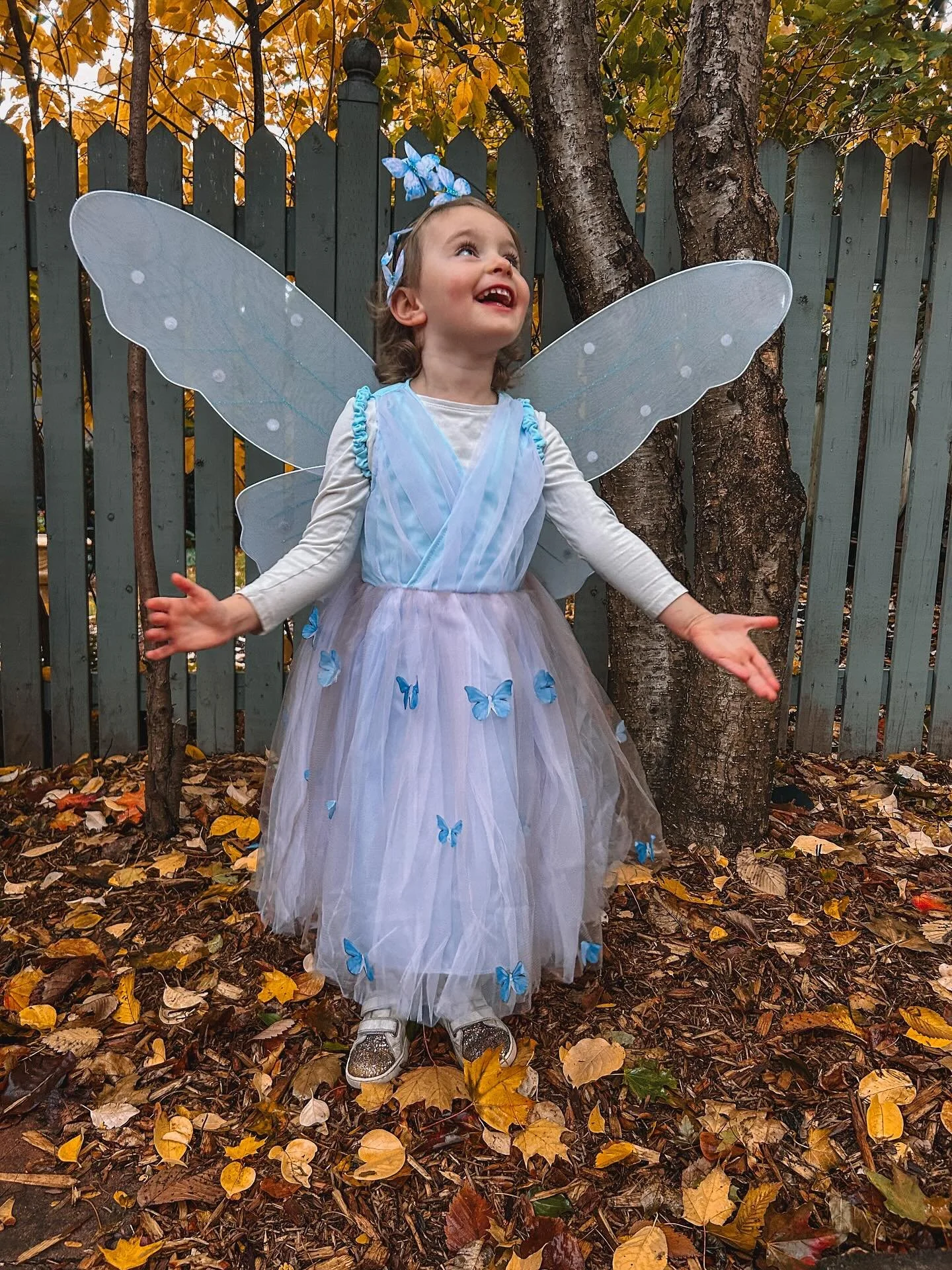 sharing some of reya&rsquo;s favourite fairy books lately 🧚🏼&zwj;♀️✨

#fairypicturebooks #childrensstorybooks #picturebooks #fairybooks