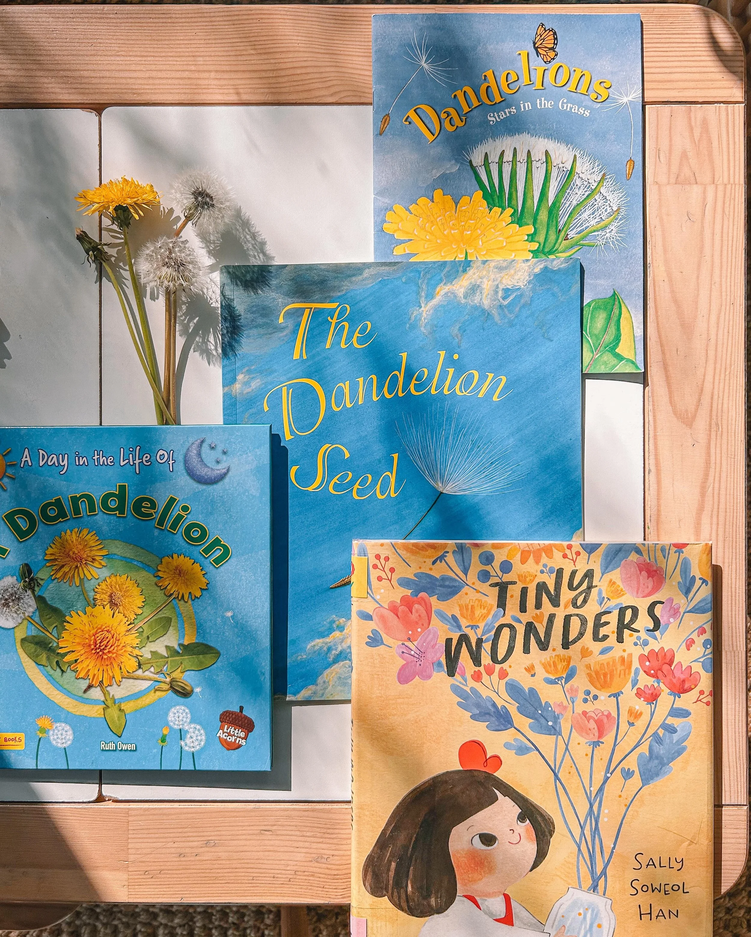 some see a weed, others see a wish ✨ a core childhood memory for me is making wishes on dandelions, and i love that my kiddos are wrapped up in the magic of dandelion wishes too 🌼 here are a few books about dandelions they have been enjoying :) 

#d