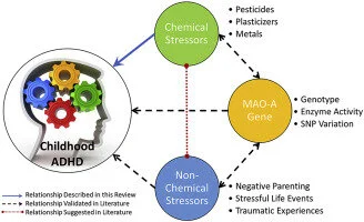 https://pubmed.ncbi.nlm.nih.gov/31706600/