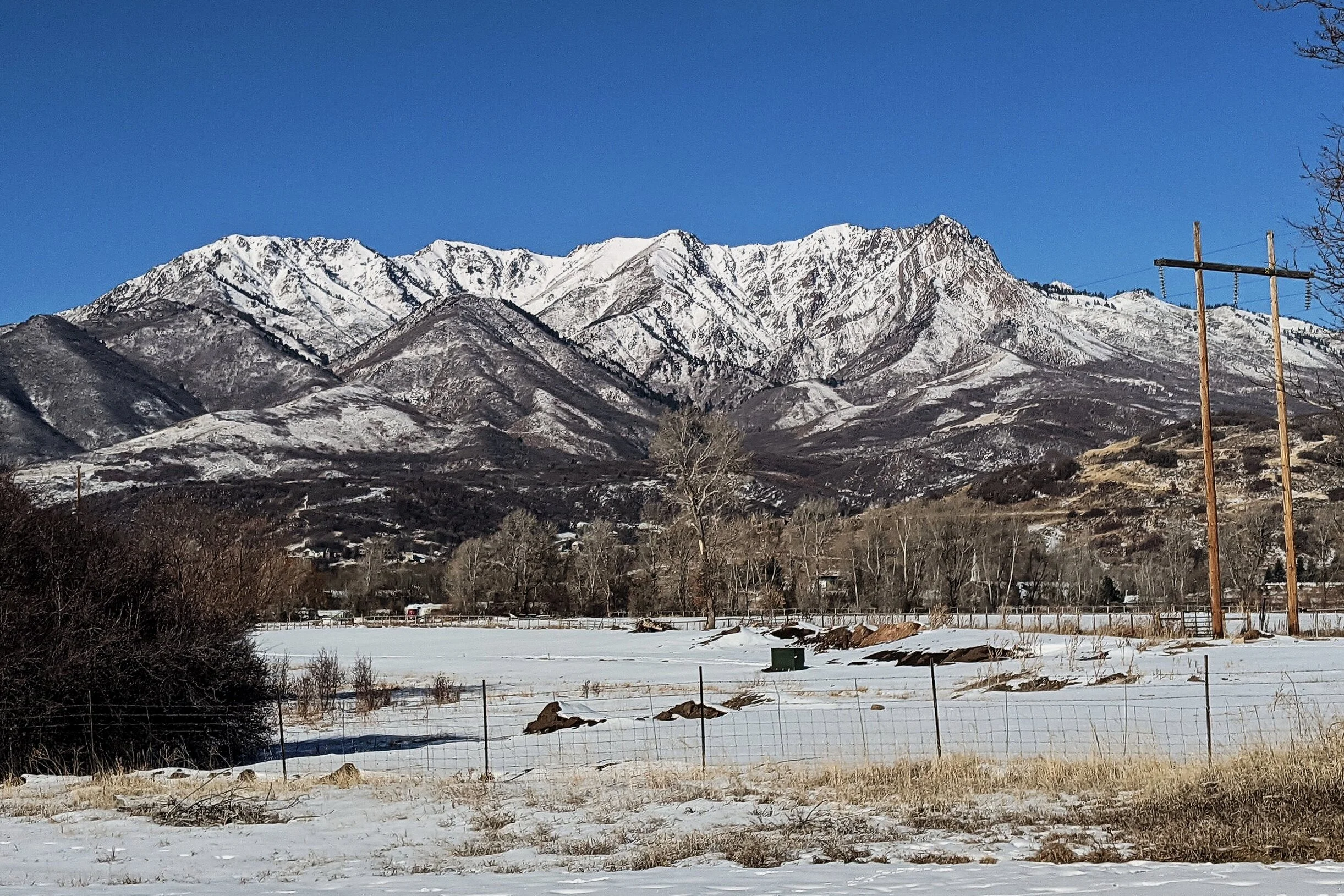 PXL_20201225_173729978.jpg