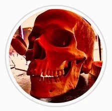 Screenshot 2022-10-22 183656.jpg