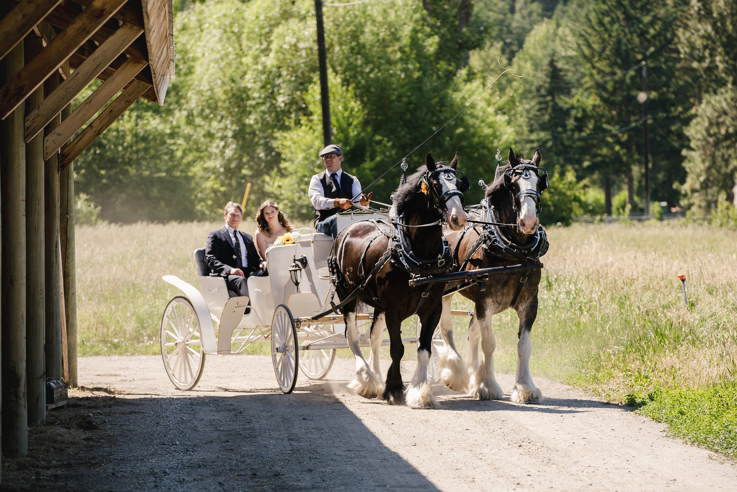 Horse Drawn Okanagan, Karla Rosalin Photography 2021 (4).jpg