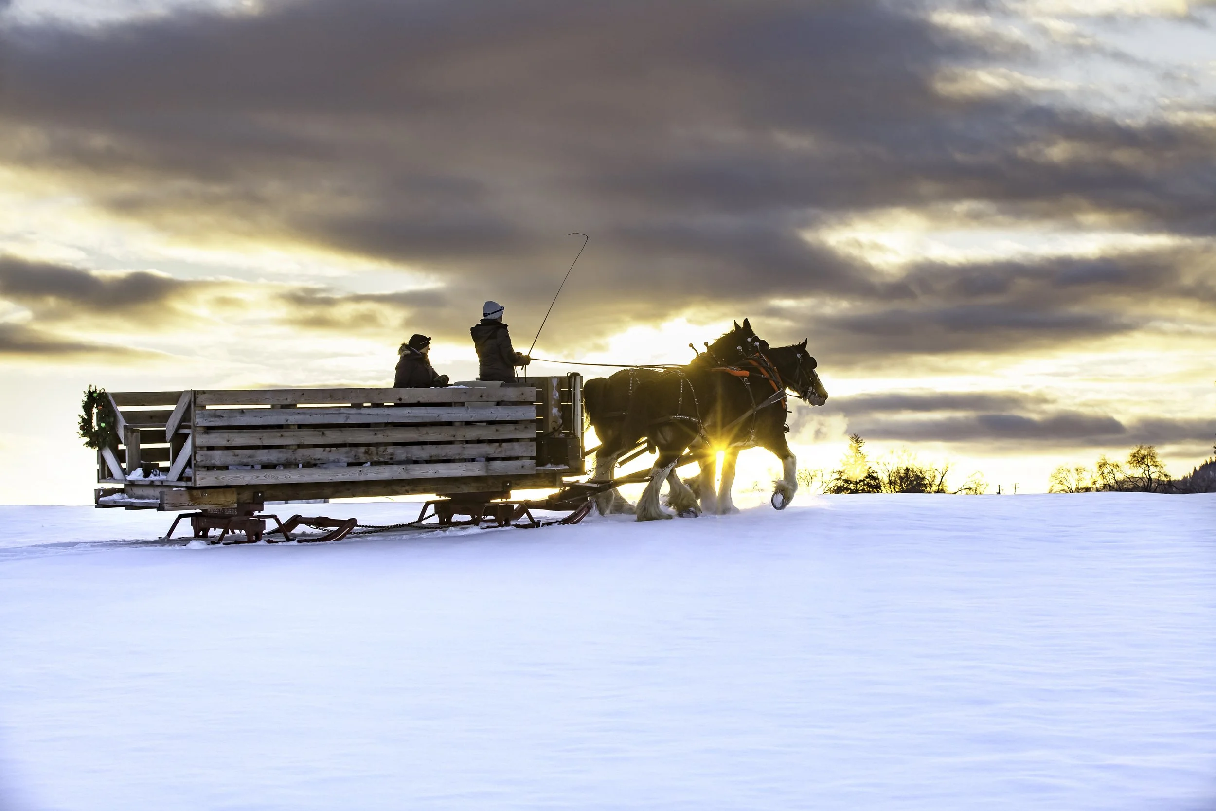 2017 Sleigh Rides, photo by Coralie Nairn.jpeg