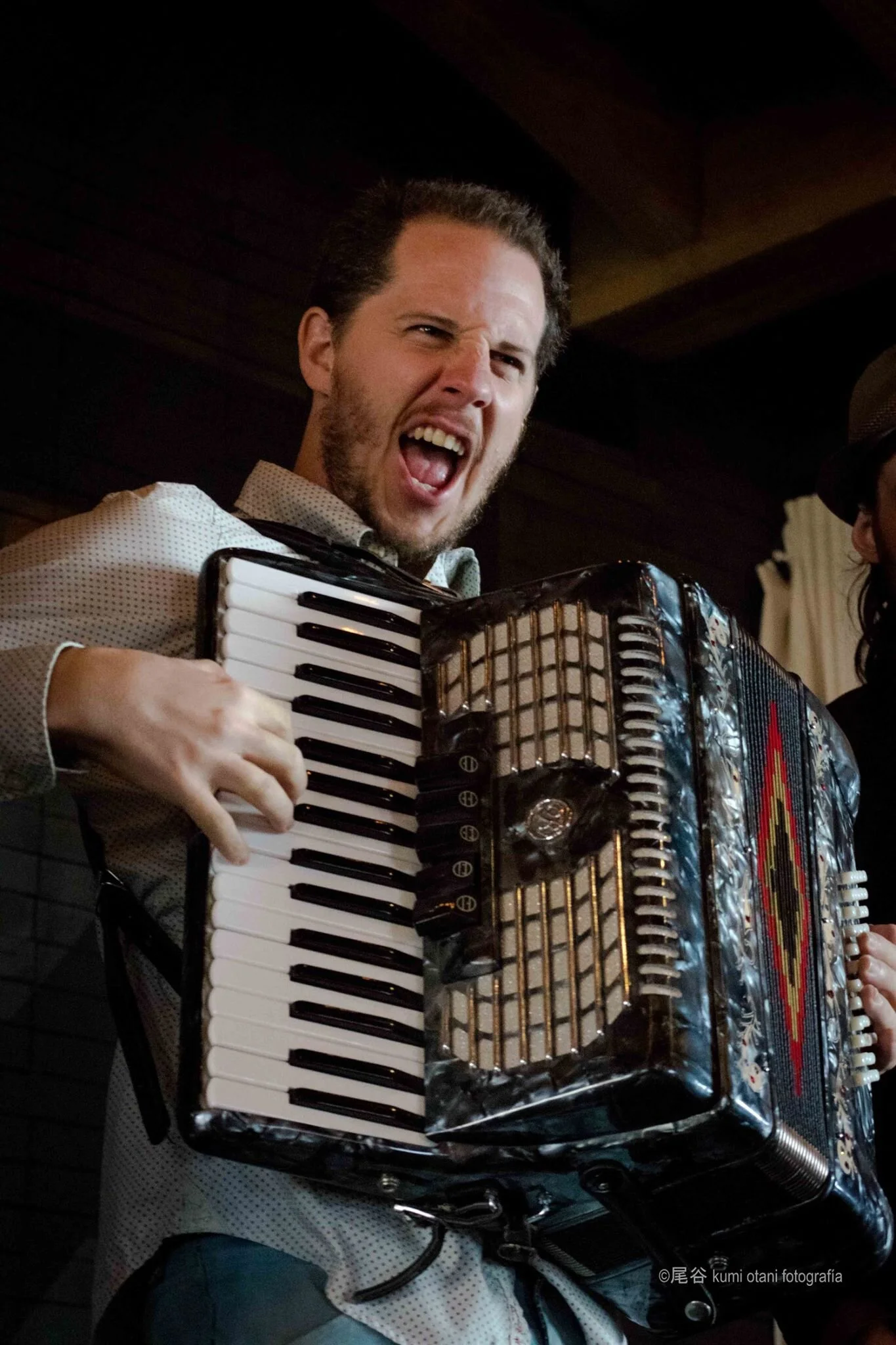 accordion geraldines.jpg
