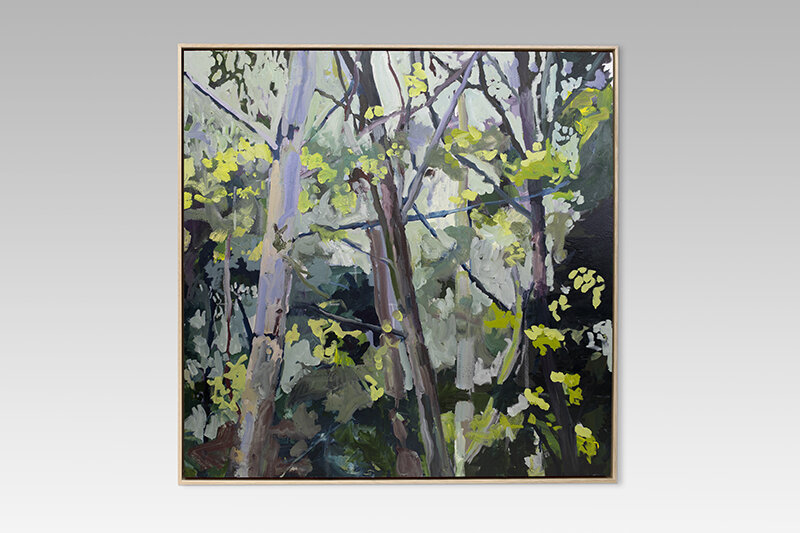 Wattle Trees, Oil on canvas, 
100 x 100 cm