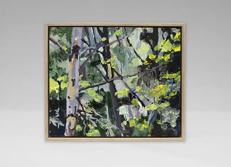 Small Wattle Trees, Oil on board,
25 x 20 cm