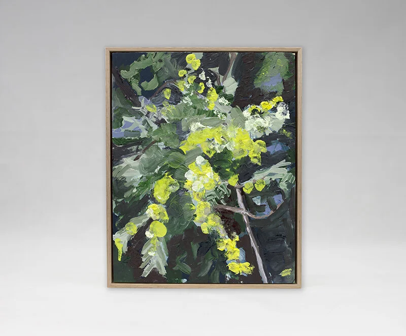 August Wattle,
Oil on board, 
20 x 25 cm