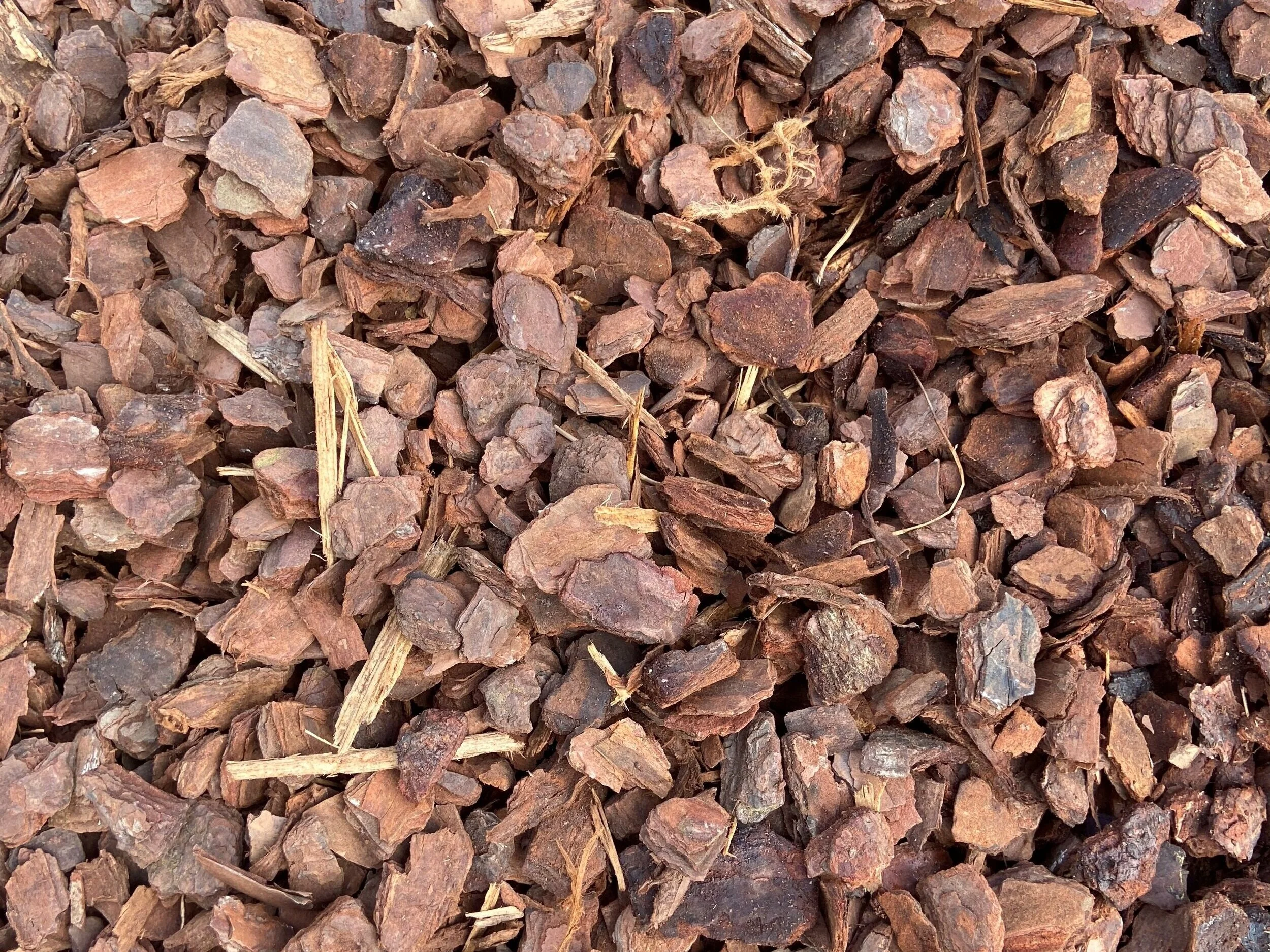 1inch+pinebark.jpg