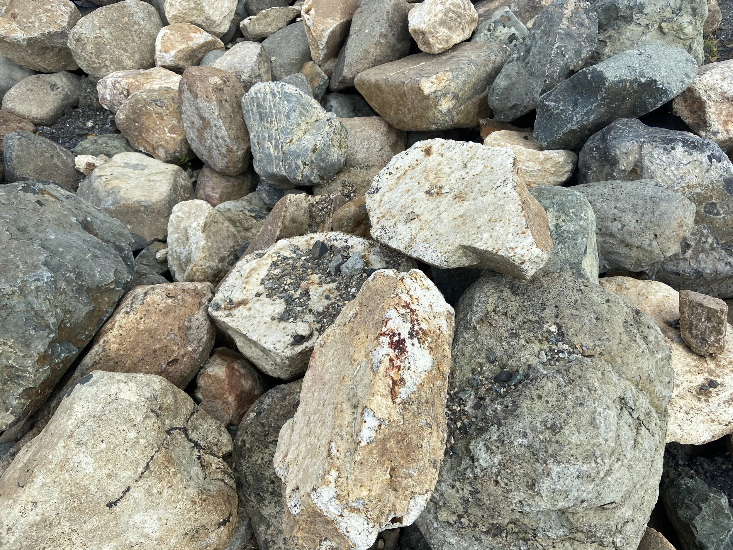 large bush rockm.jpg