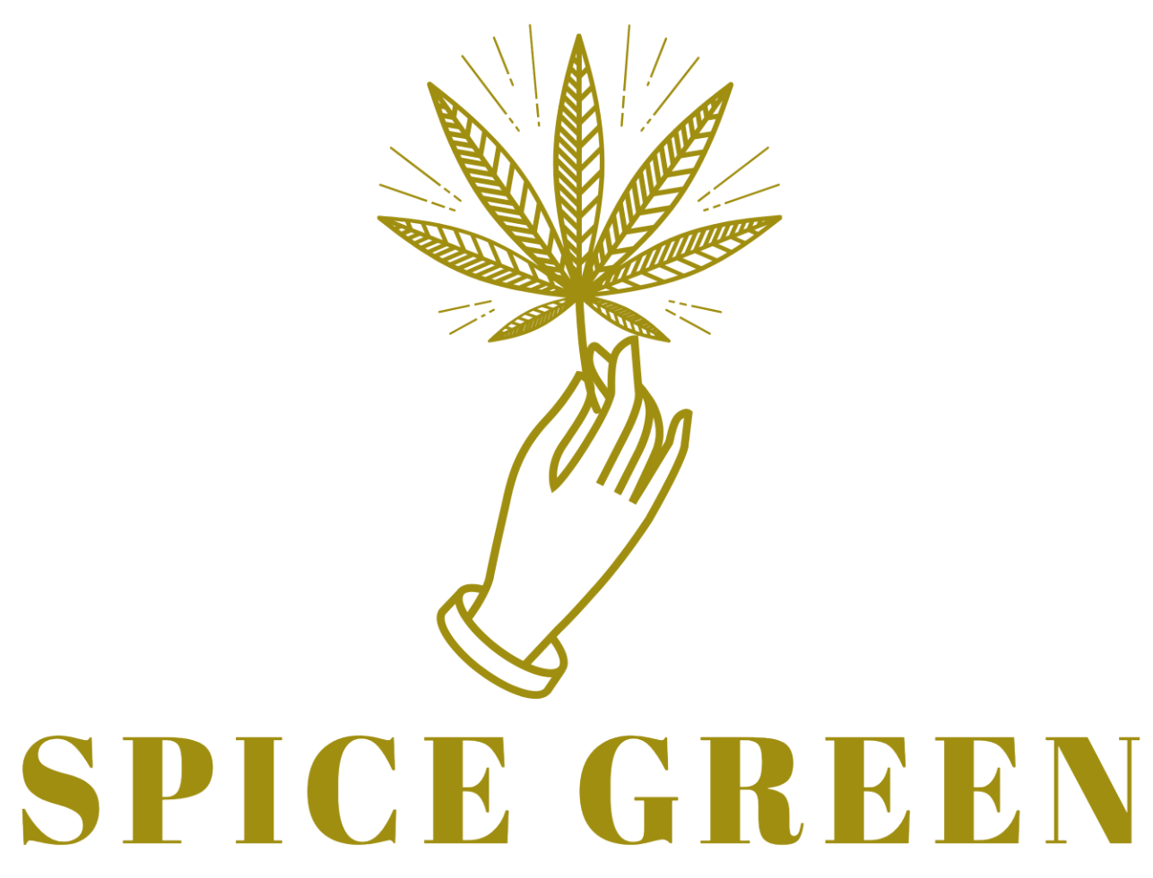サンフランシスコで日本人観光客も大麻を合法に使用できる Spice Green