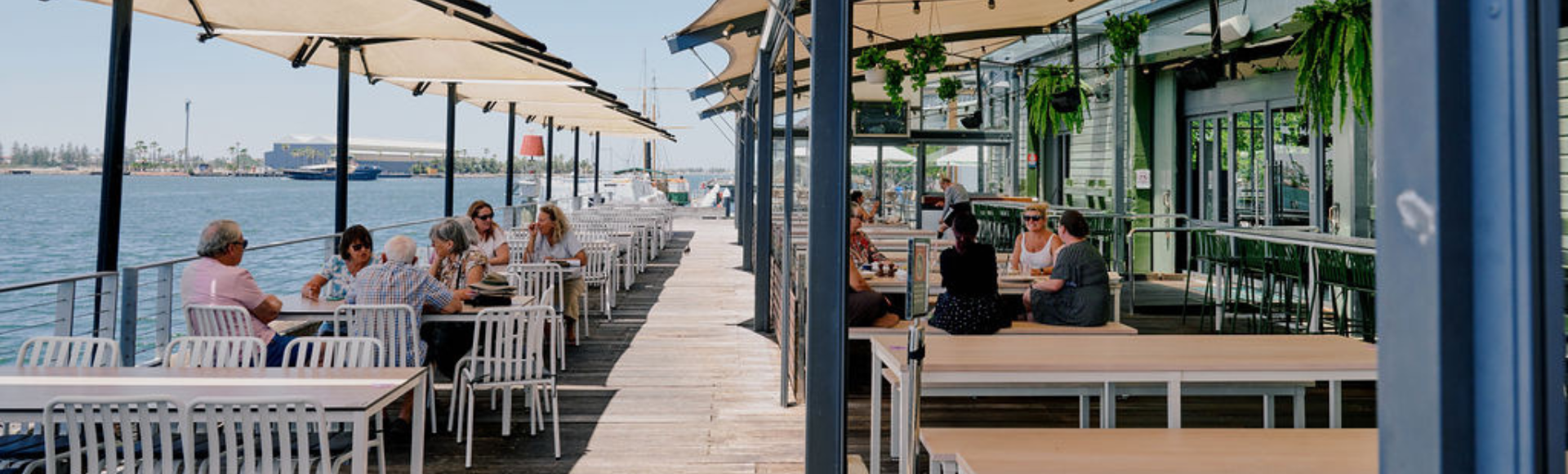 Honeysuckle Header Banner (1).png