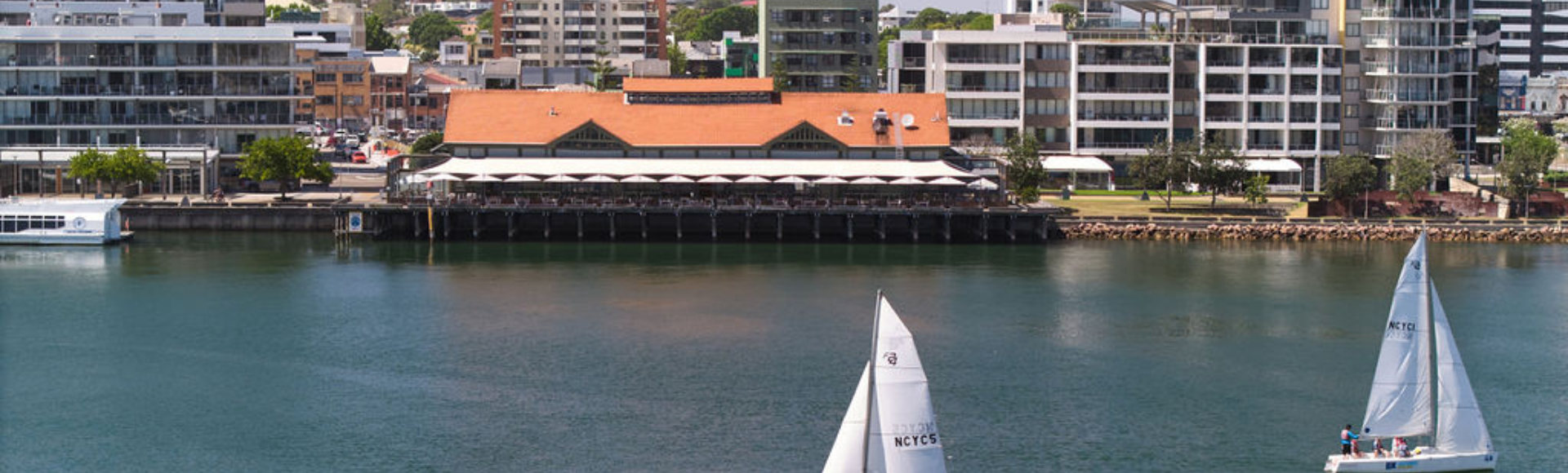 Honeysuckle Header Banner (3).png