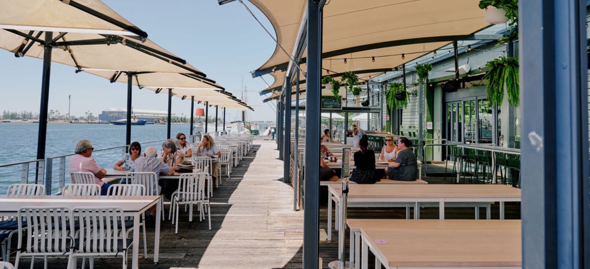 Honeysuckle Background Banner.png