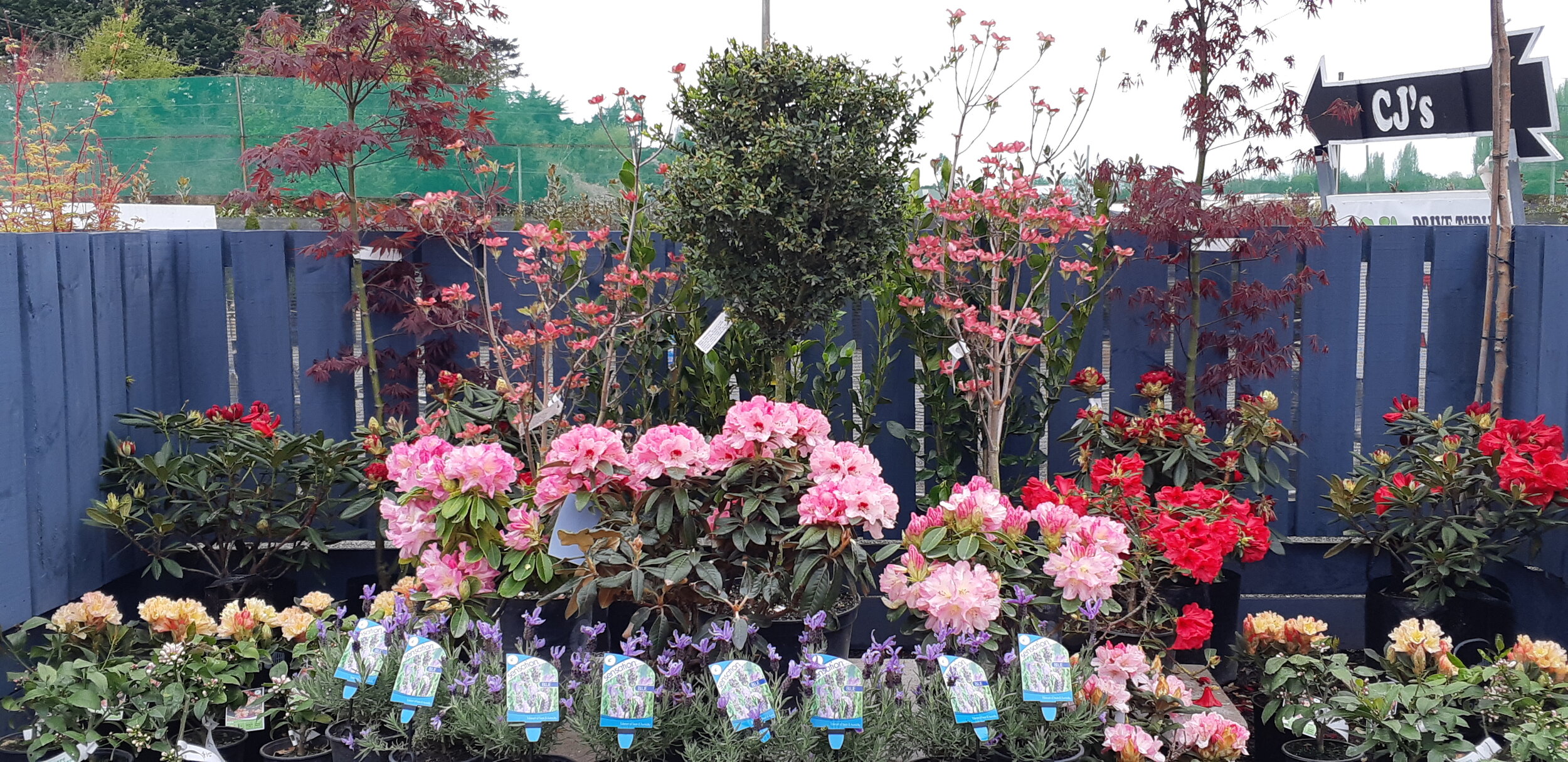 2018-10-05 15.45.16.jpg