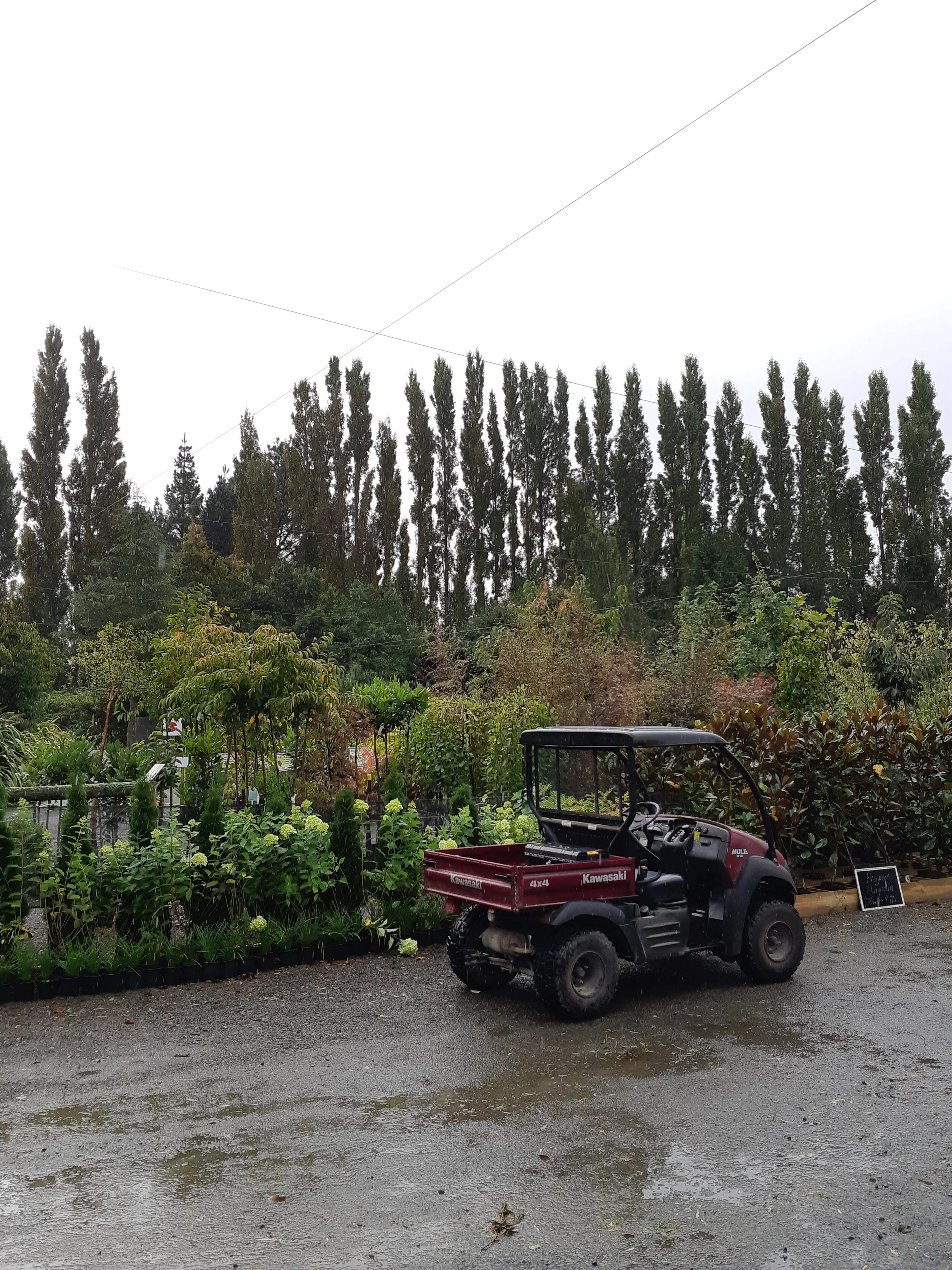 2019-03-15 12.00.19.jpg