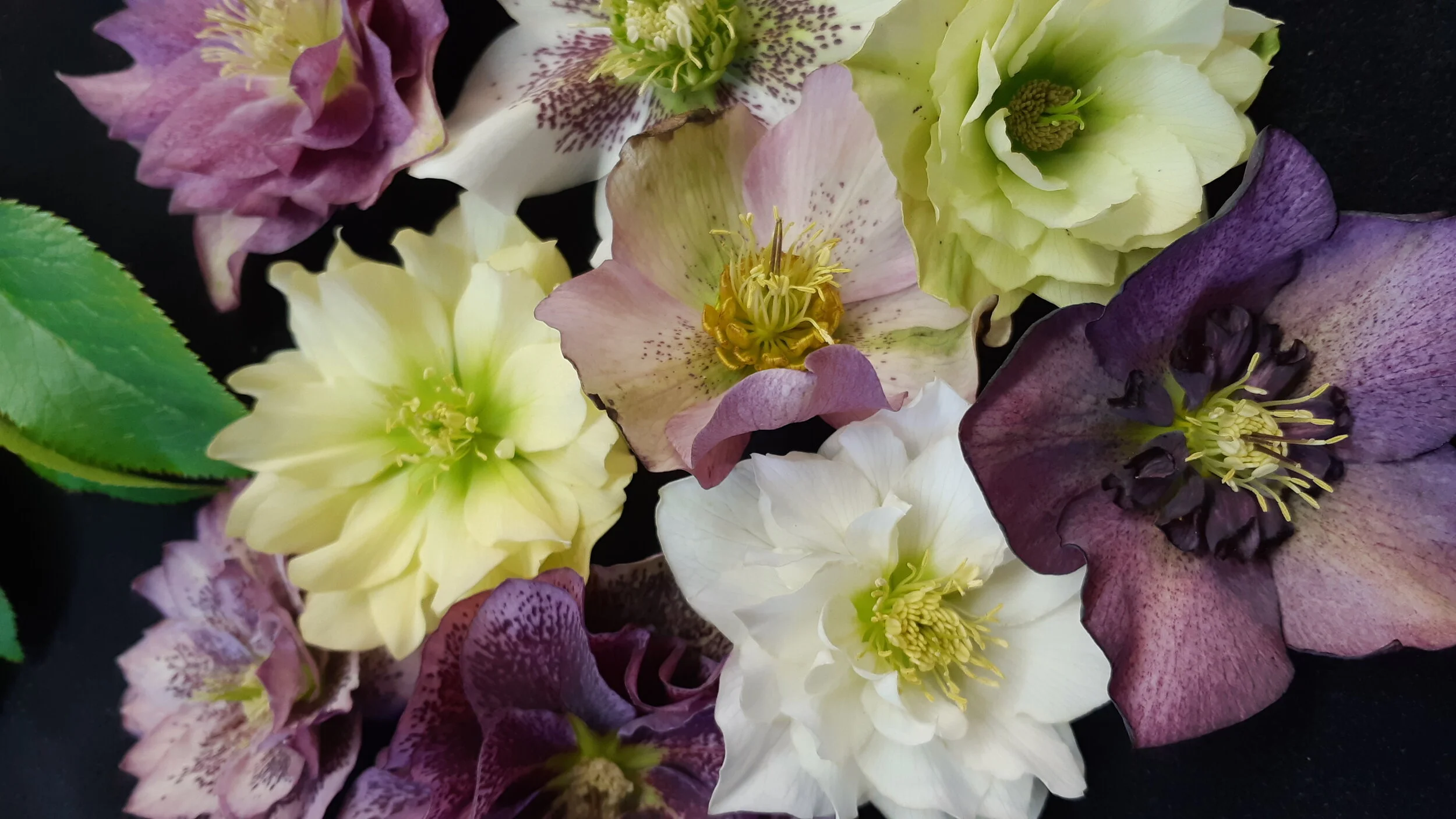 2018-07-11 15.32.17.jpg