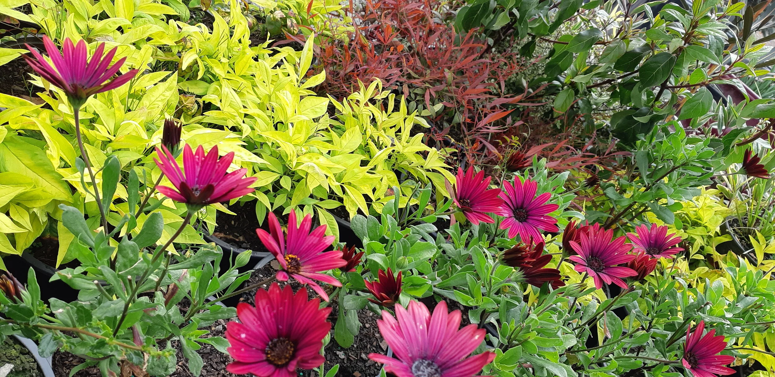 2018-10-24 12.00.17.jpg