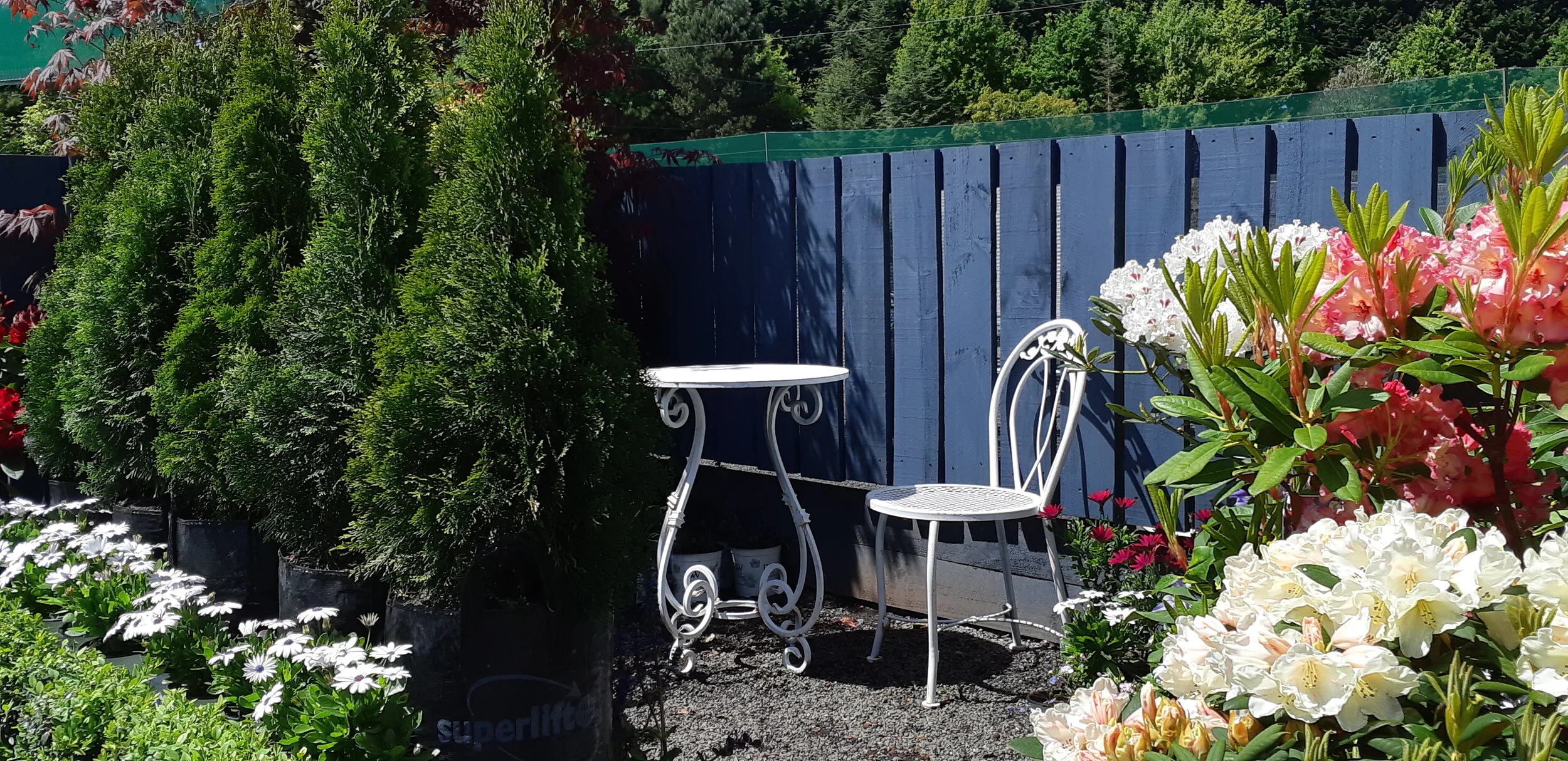 2018-11-02 12.50.04.jpg