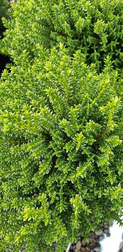 2020-04-16 13.44.46.jpg