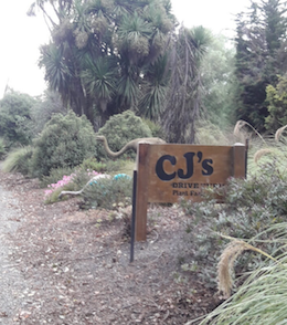 Screen Shot 2020-09-28 at 8.44.15 AM.png