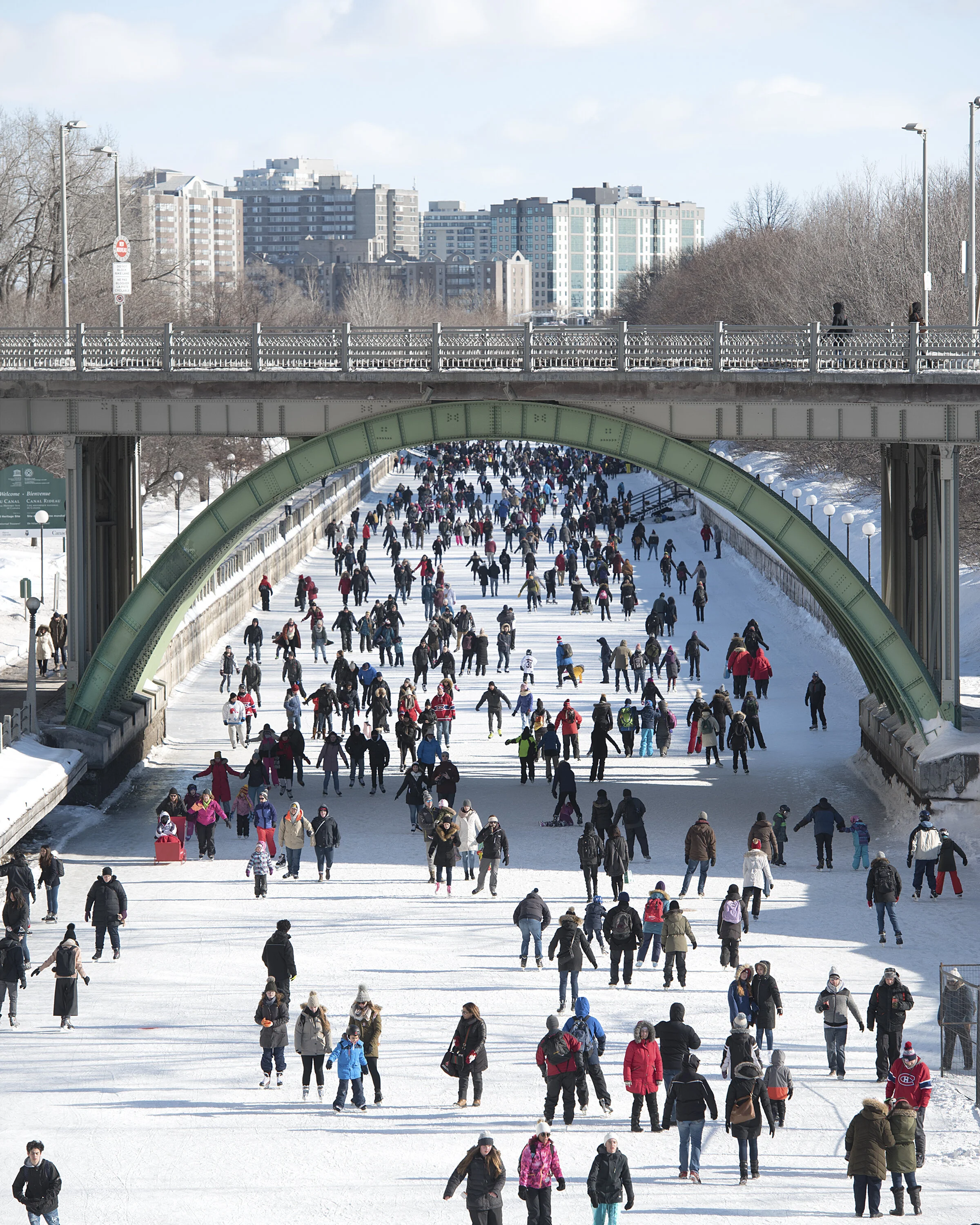 Crowd of people ice skating on the Rideau Canal Skateway in Ottawa, with buildings in the background and leafless trees.