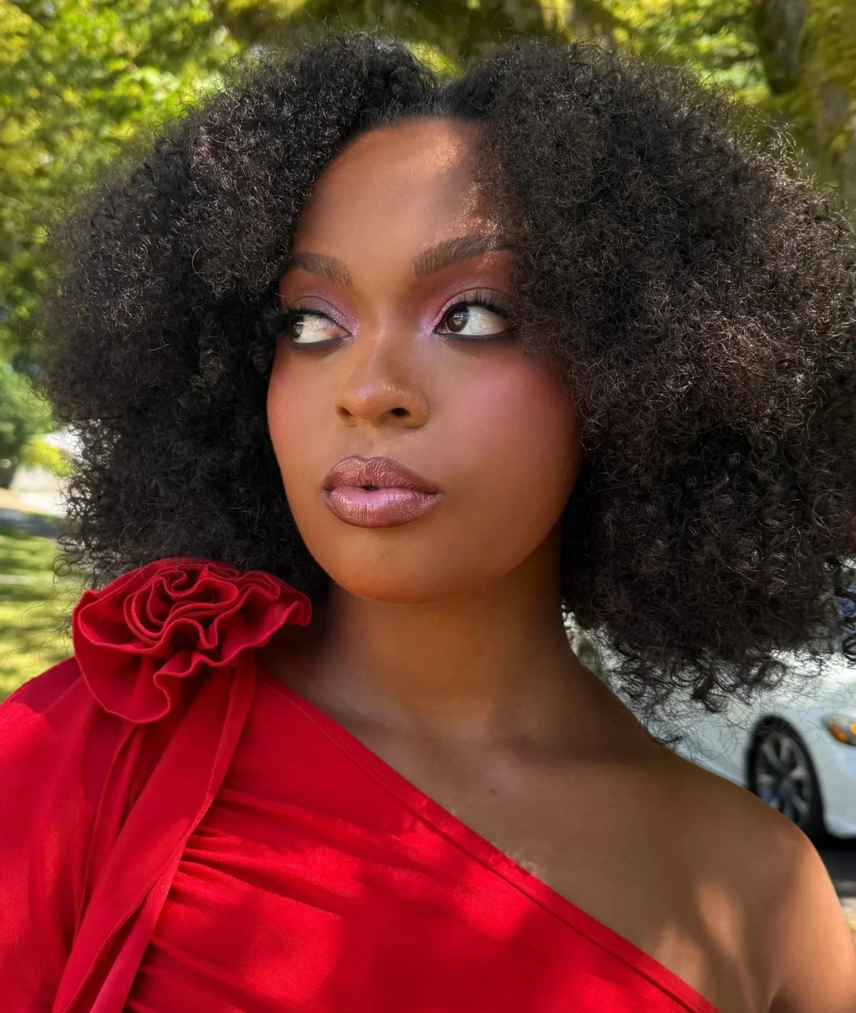 makeup artist vancouver, editorial makeup, event makeup, holiday makeup, frosted makeup, sugarplum makeup