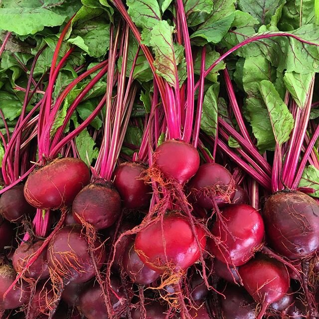 Beets are a Lapa&rsquo;au farm favorite! ❤️❤️❤️
. . . 
#eatyourbeets #beets 
#lapaaufarm #mauifarmers #regenerativefarming #regenerativeagriculture #mauifarmersmarket #organicfarmer #mauifarmersunion #mauifoodie #localfood #mauifood #locallygrown #nu