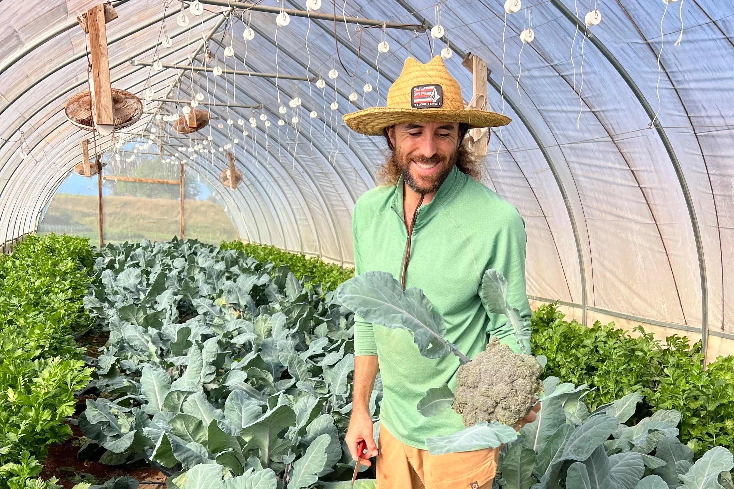 Carefully Examined Ends