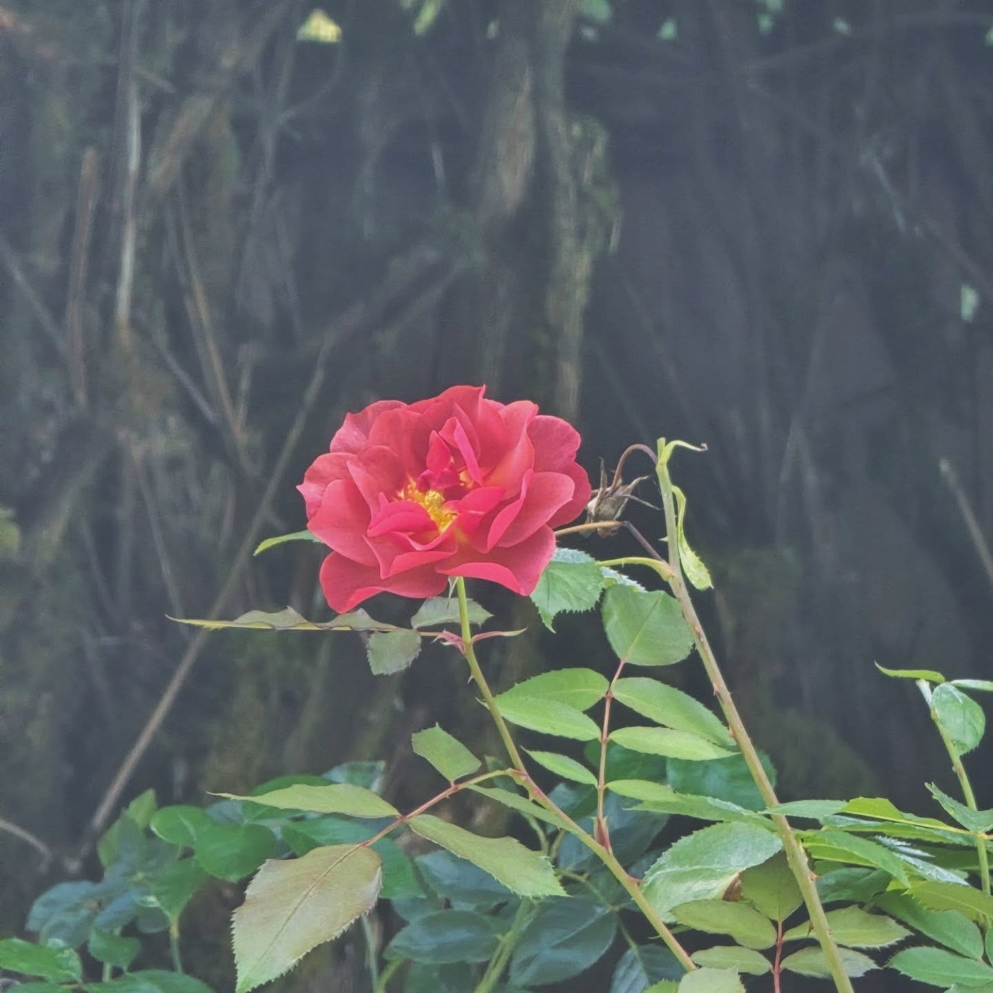 Life can feel unbearably heavy at times. Maybe you’re carrying more than you can hold, moving through stress, anxiety, depression, or just the quiet weight of exhaustion. If you’ve been feeling overwhelmed, stuck, or like you’re goi