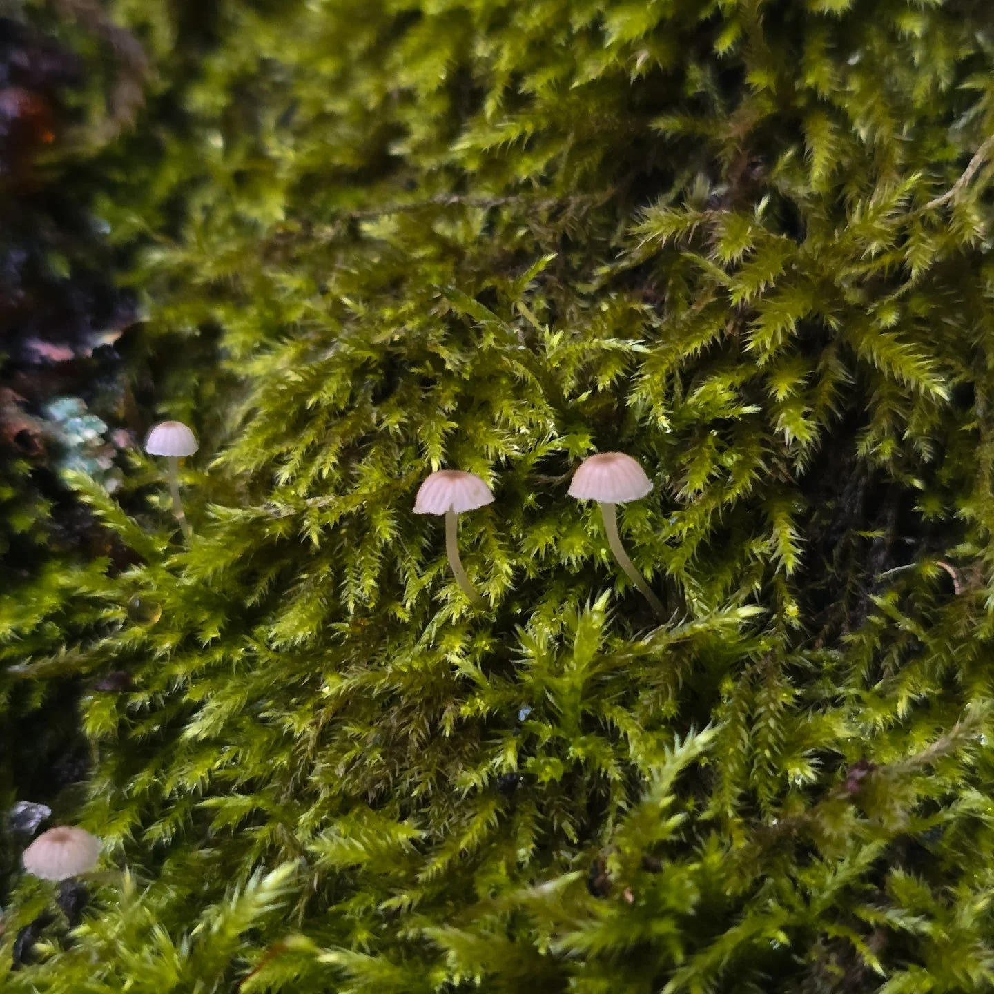 As the days get darker a little earlier, I hope you&rsquo;re taking gentle care of yourself. ☕🕯️

Small things can make a big difference this time of year - a short walk in the daylight, a therapy light in the morning, Vitamin D, warm drinks, stretc