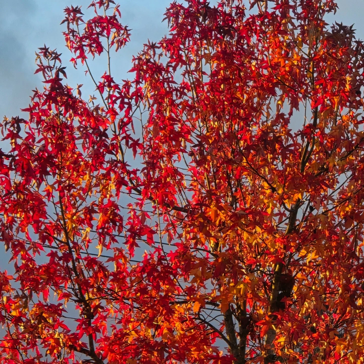 Happy Friday, friends. 🍁

Lately I&rsquo;ve been trying to come back to the things that are within the realm of my control. It&rsquo;s a practice I&rsquo;m constantly learning and relearning - both as a therapist and as a client sitting in someone e