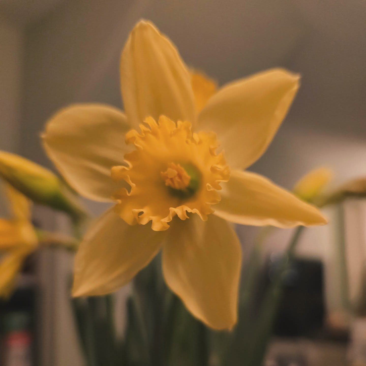 There is a lot of concern, grief, and heaviness in the world right now. Many people are carrying quiet (and not-so-quiet) sadness, fear, anger, and exhaustion. And honestly? It makes sense.

Showing up and being human can feel incredibly hard when so