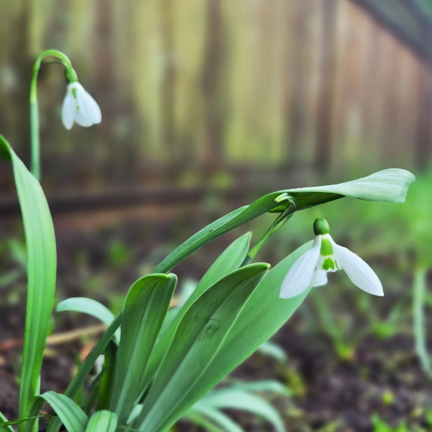 Therapy Services - Spring Openings 🌷

Spring tends to stir things up 🌱 - old patterns, new questions, and that quiet realization that something needs attention. If you&rsquo;ve been feeling overwhelmed, emotionally exhausted, stuck, or tired of car