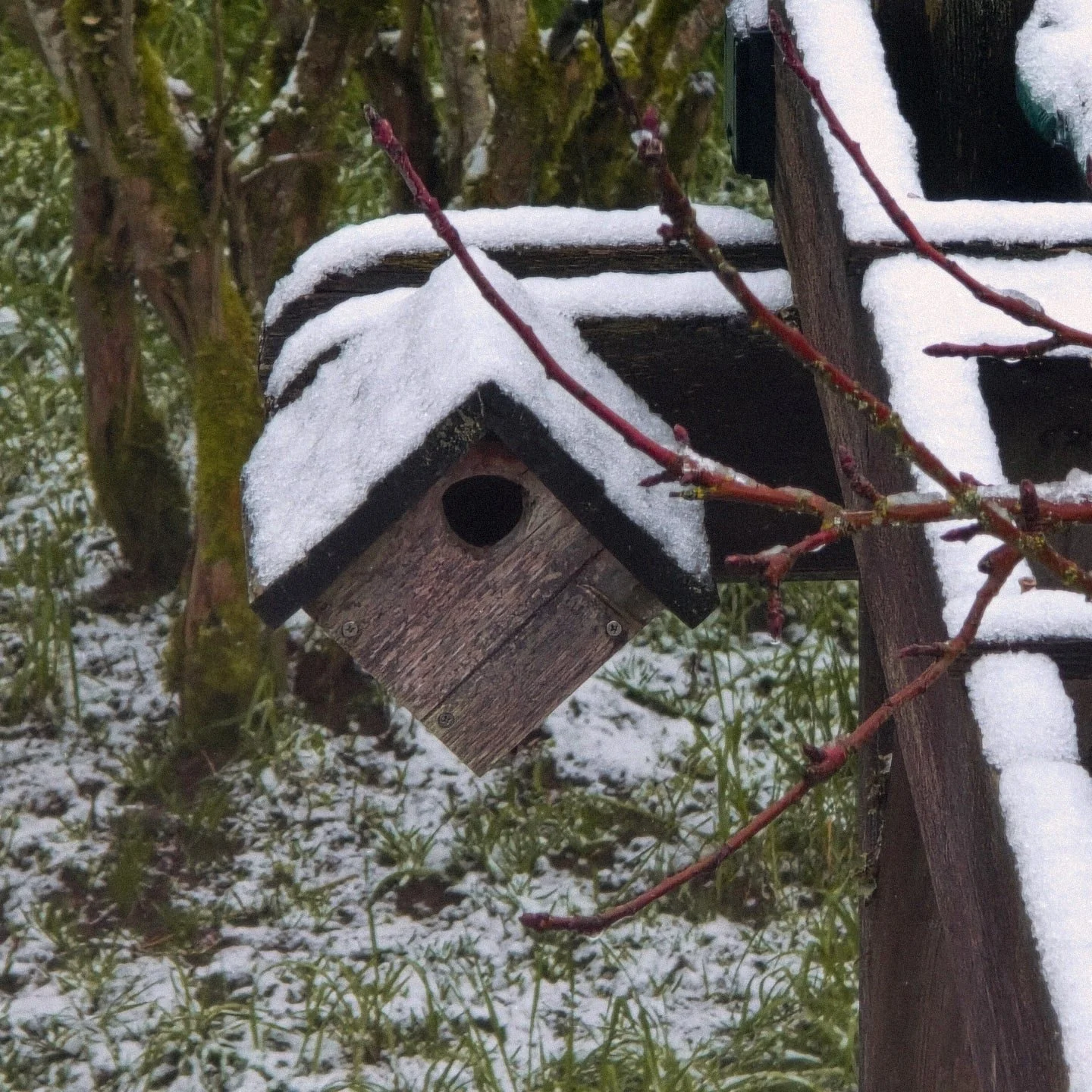 🌸 Spring cleaning isn&rsquo;t just for your home! 🧹 

Make space in your mind and heart this season - let&rsquo;s clear out the clutter and start fresh. ✨

Reach out through my website or links to get started. 💛

--

therapy, online therapy, virtu