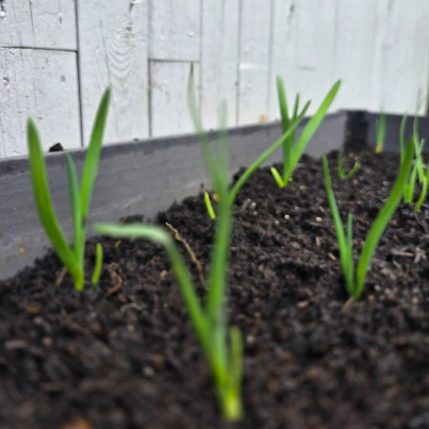 Now booking 🌿

I&rsquo;m holding consultation spots for new therapy clients this week, and I expect to be full by next week - I&rsquo;m often sought after for my skills, gentle humor, and the strong rapport I build with clients. 🌱

If you&rsquo;ve 