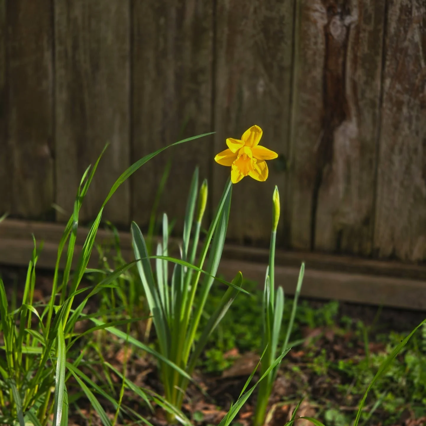 🌱 Wishing everyone a gentle, renewing spring. 

Just a PSA: My practice is currently full and I&rsquo;m not accepting new clients or new supervisees at this time, but feel free to check back in closer to summer for potential openings. 

If you need 
