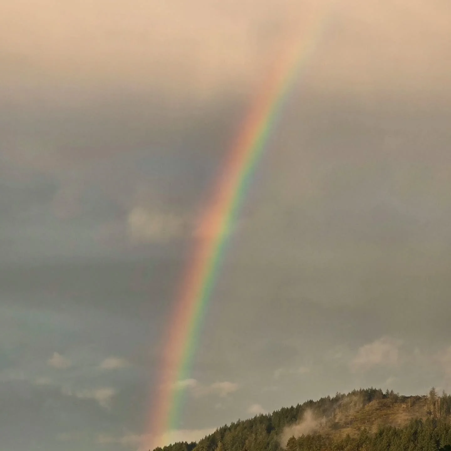 Just thinking about how rainbows show up after storms - it&rsquo;s a good reminder that mental health isn&rsquo;t always perfect, but moments of color can come back. 🌈 

--

therapy, online therapy, virtual therapy, washington therapist, wa therapis