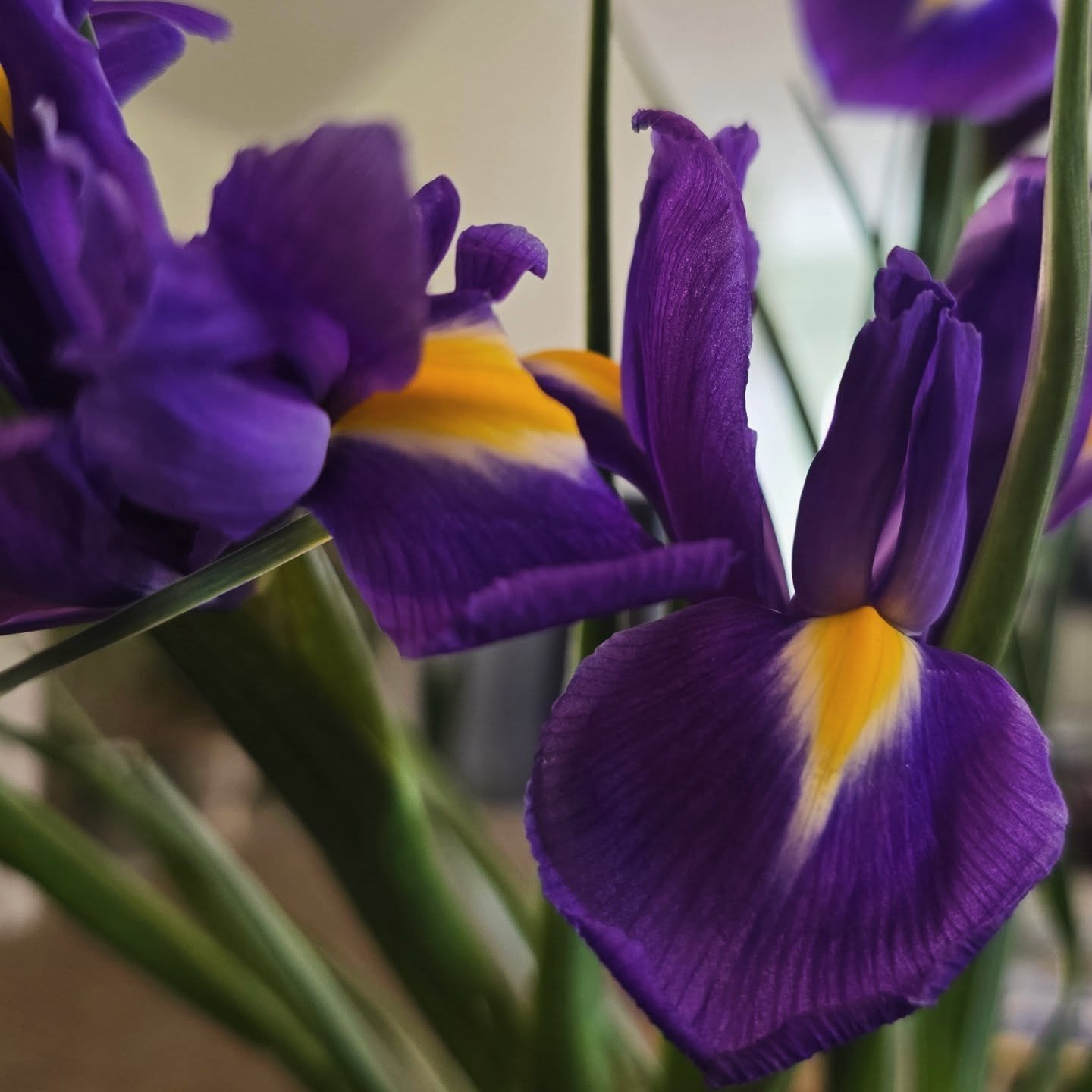 ✨ A small update from my corner - 

My practice is currently full, and I&rsquo;m not taking on new clients or supervisees at this time. I plan to reassess availability as we get closer to summer. ⛱️

That said, I care deeply about people finding supp